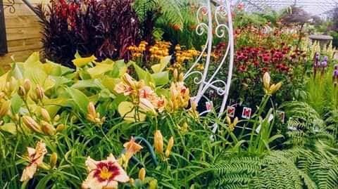 perennial display6